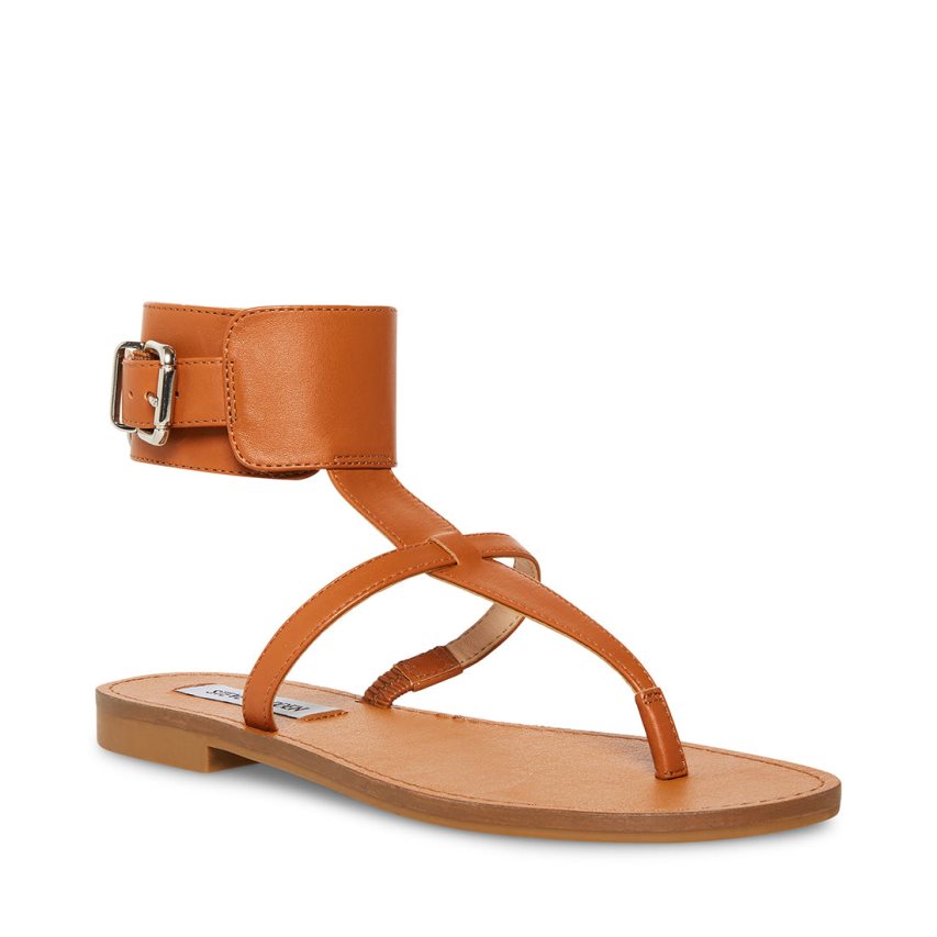 Brown Steve Madden Rico Leather Women's Flat Sandals | PH 8670JN16